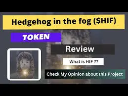 Hedgehog in the fog